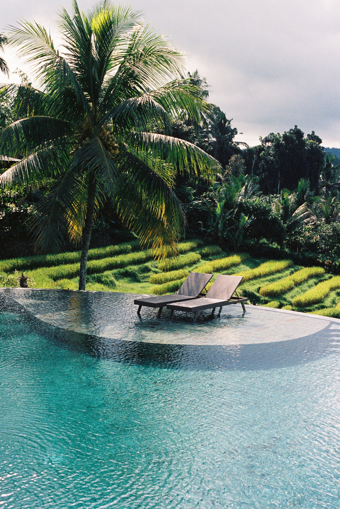 Where to Stay in Bali for Jungle & Mountain Views in 2026