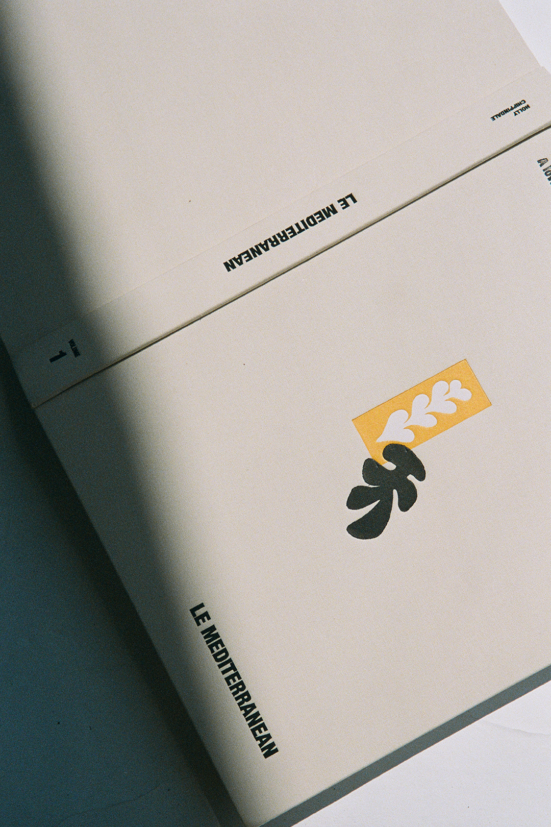 Le Mediterranean Book